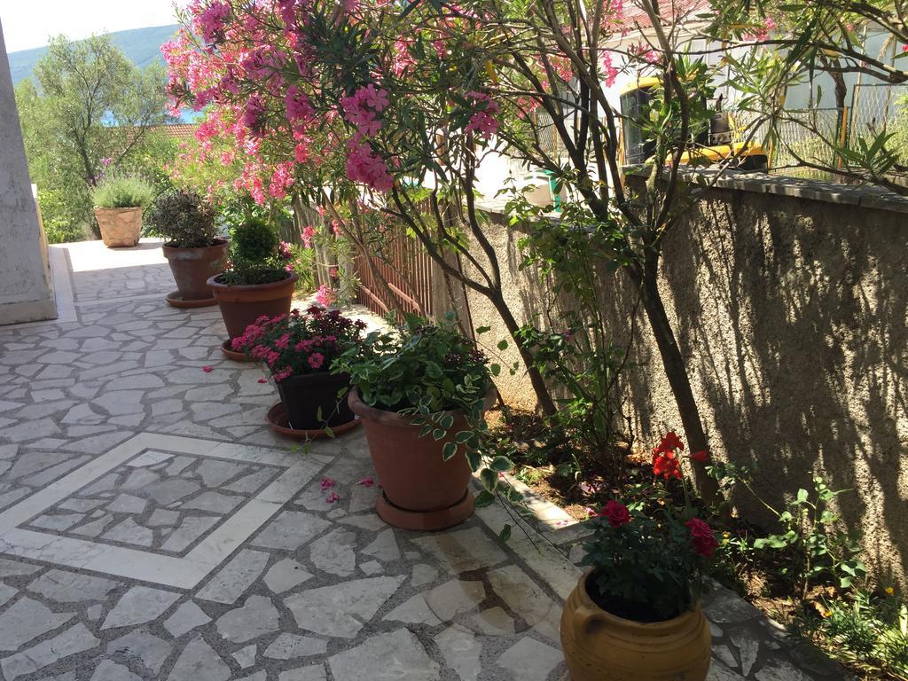 Apartments Sijerkovic Χέρτσεγκ Νόβι Εξωτερικό φωτογραφία